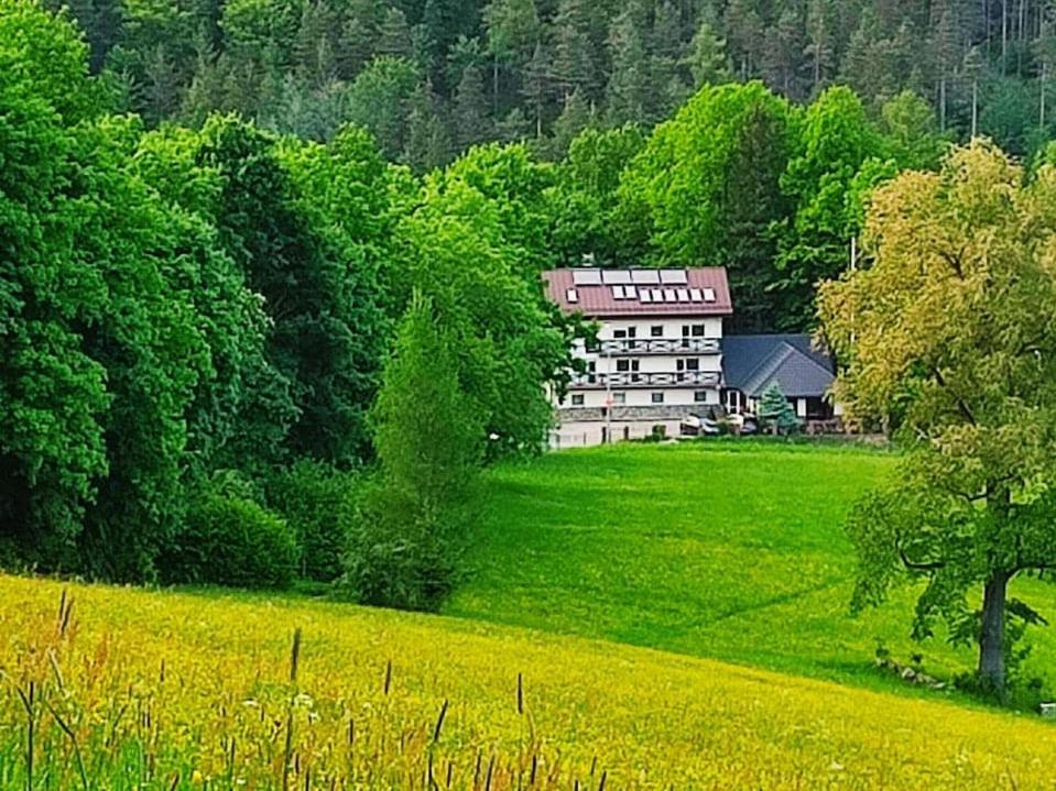 Gorski Widok Karpacz Apartamenty I Pokoje- Salon Kominkowy Eksteriør bilde